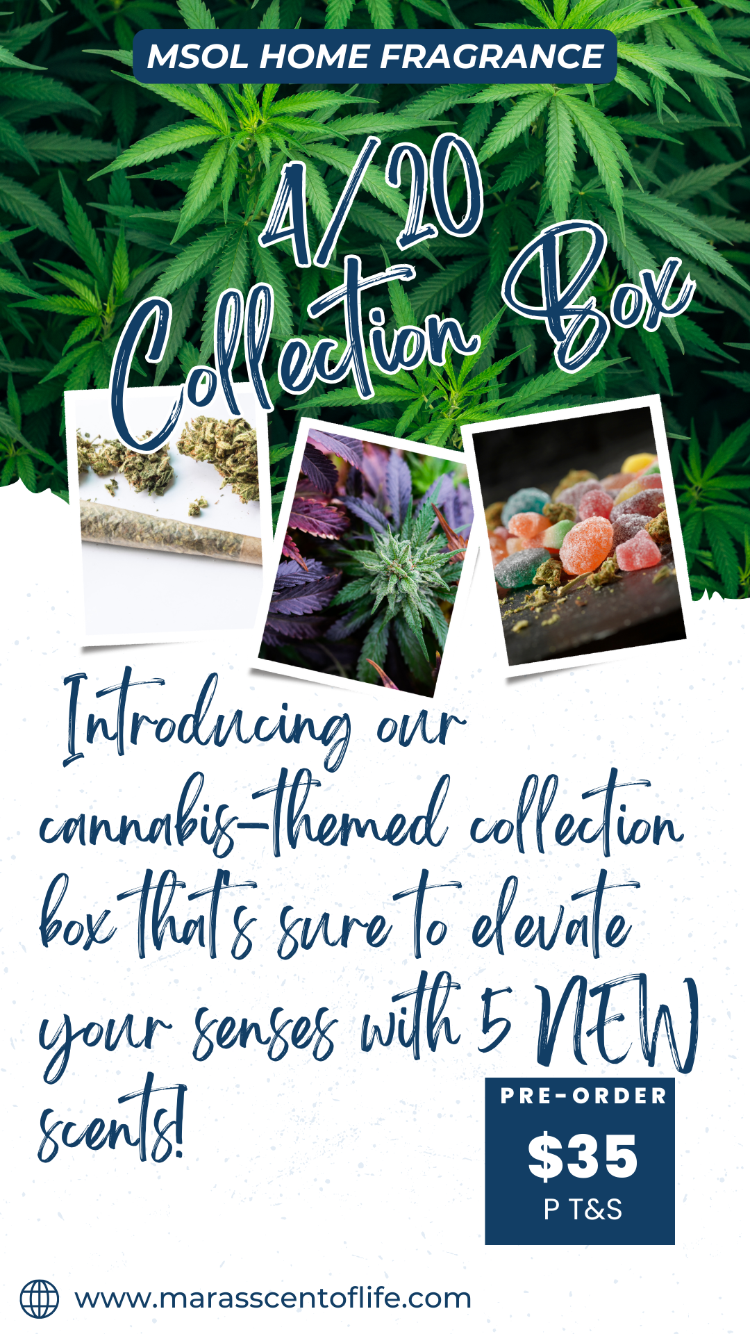 4/20 Collection Box