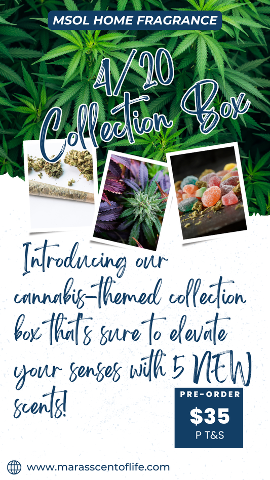 4/20 Collection Box